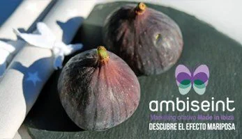 Tu nariz se pondrá de moda con la franquicia Ambiseint